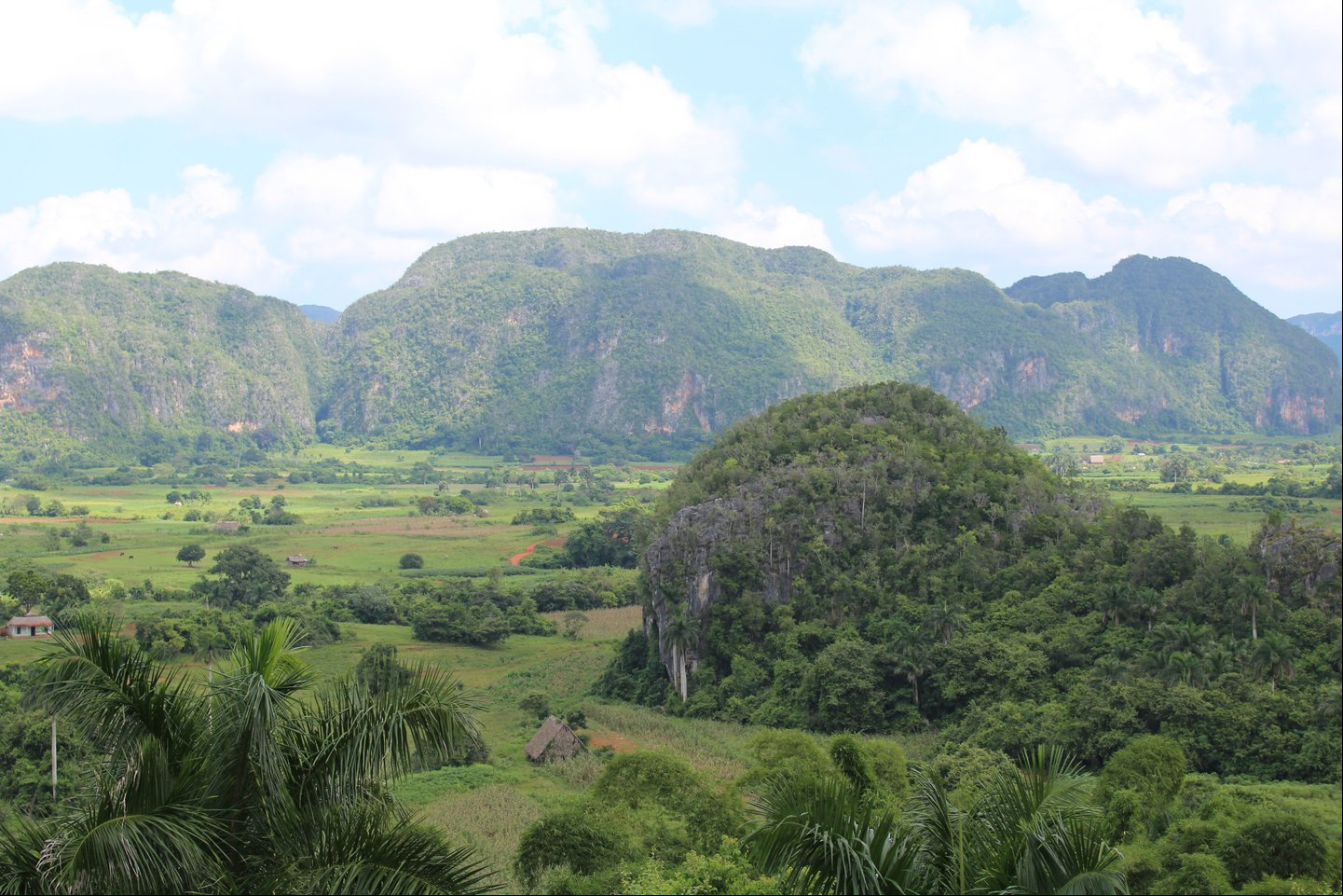 Vista del Valle de Viñales, Parque Nacional y Paisaje Cultural de la Humanidad Vista del Valle de Viñales