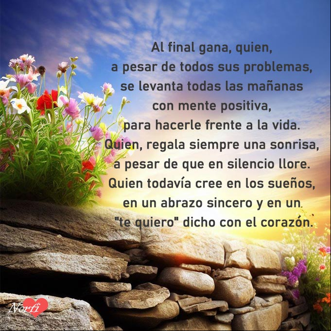 Al final gana, quien, a pesar de todos sus problemas, se levanta todas las mañanas con mente positiva, para hacerle frente a la vida Flores sobre muro de piedra al amanecer