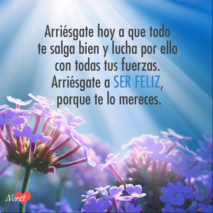 Arriésgate hoy a que todo te salga bien y lucha por ello con todas tus fuerzas. Arriésgate a ser feliz, porque te lo mereces. Rayos del sol detras de flores de la verbena
