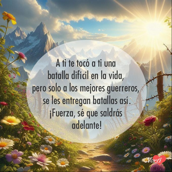 A ti te tocó a ti una batalla difícil en la vida, pero solo a los mejores guerreros, se les entregan batallas así. ¡Fuerza, sé que saldrás adelante! Camino al amanecer con flores y espinas