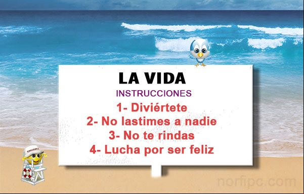 Instrucciones de un sabio para la vida: Diviértete sin lastimar a nadie, no te rindas nunca y lucha por ser feliz. Frases para motivar y alentar a un amigo que lo necesita
