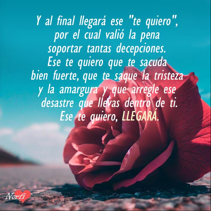 Y al final llegará ese "te quiero", por el cual valió la pena soportar tantas decepciones Rosa roja al final de una carretera