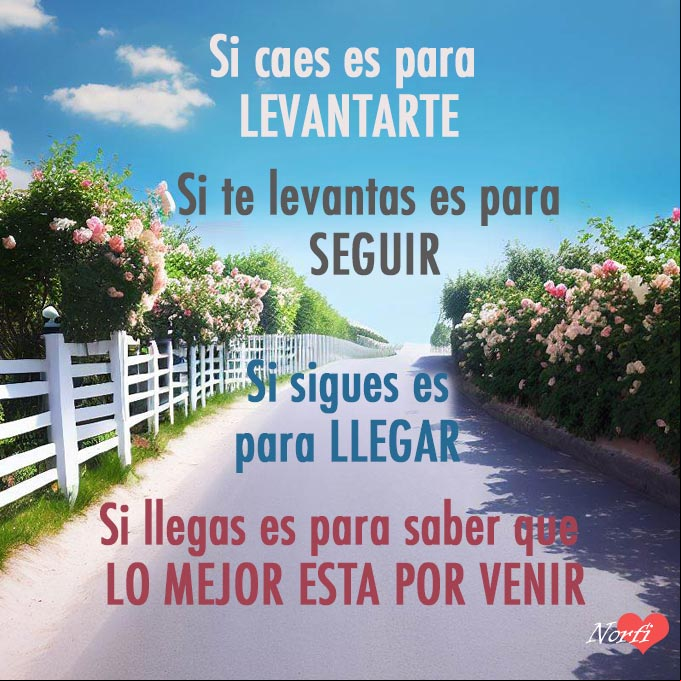 Si caes es para LEVANTARTE, si te levantas es para SEGUIR, si sigues es para LLEGAR a donde quieres ir y si llegas es para saber que LO MEJOR ESTA POR VENIR Carretera con flores a los lados