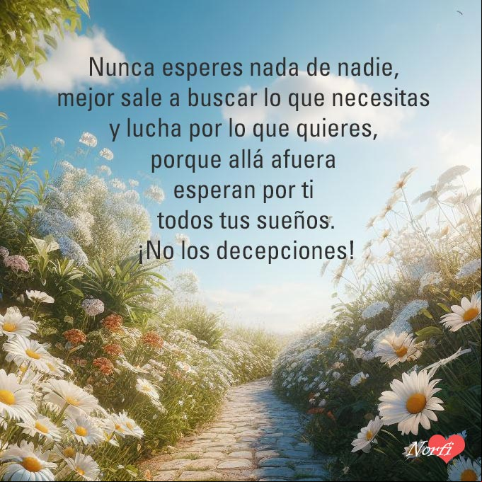 Nunca esperes nada de nadie, mejor sale a buscar lo que necesites y lucha por lo que quieres, porque allá afuera esperan por ti tus sueños. ¡No los decepciones! Camino rodeado de flores