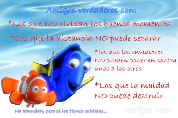 Amigos verdaderos son aquellos que no olvidan los buenos momentos Frases reales sobre conocidos, compañeros, amigos y la amistad