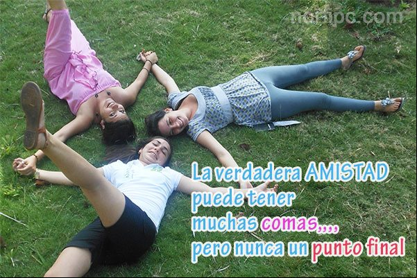La verdadera amistad puede tener muchas comas,,,, pero nunca un punto final Pensamientos sobre la amistad sin condiciones y sin interes