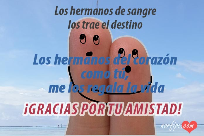Mensajes para reconocer y agradecer una buena amistad