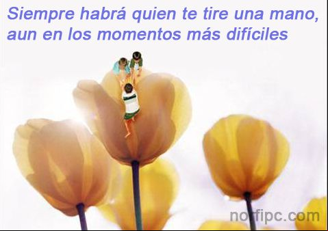 Imagen de esperanza y fe en el ser humano: Siempre habrá quien te tire una mano en los momentos difíciles Imagen de esperanza y fe en el ser humano: Siempre habrá quien te tire una mano en los momentos difíciles