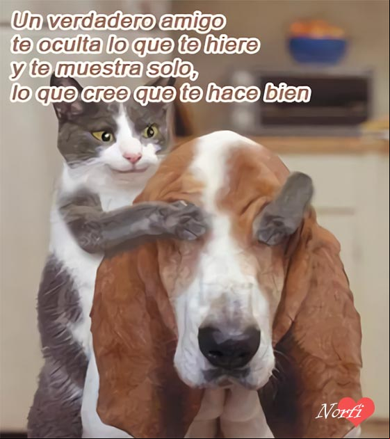 Un verdadero amigo te oculta lo que te hiere y te muestra solo, lo que cree que te hace bien. Un verdadero amigo.