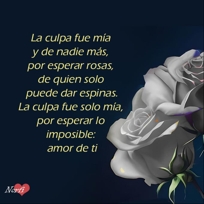 La culpa fue mía y de nadie más, por esperar rosas, de quien solo puede dar espinas. La culpa fue solo mía, por esperar lo que era imposible, amor de ti Rosas grises con fondo negro para acompañar una frase de desilusión