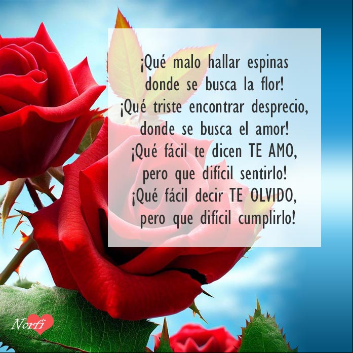 ¡Qué malo hallar espinas donde se busca la flor! ¡Qué triste encontrar desprecio, donde se busca el amor! Rosas rojas con espinas