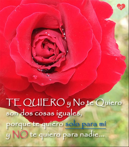 Te quiero y no te quiero son dos cosas iguales, porque te quiero solo para mí y no te quiero para nadie Mensajes de un amor loco y apasionado