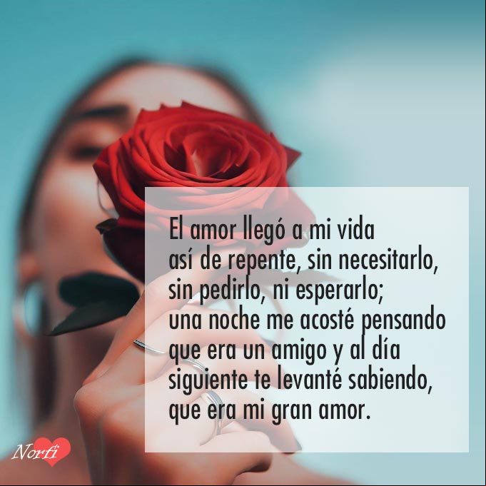El amor llegó a mi vida así de repente, sin necesitarlo, sin pedirlo, ni esperarlo; una noche me acosté pensando que era un amigo y al día siguiente te levanté sabiendo, que era mi gran amor Mujer oliendo una rosa roja