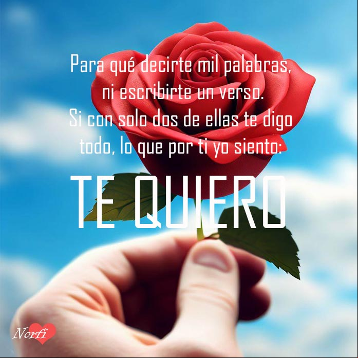 Para qué decirte mil palabras, ni escribirte un verso. Si con solo dos de ellas te digo todo, lo que por ti yo siento: TE QUIERO Una rosa roja en una mano