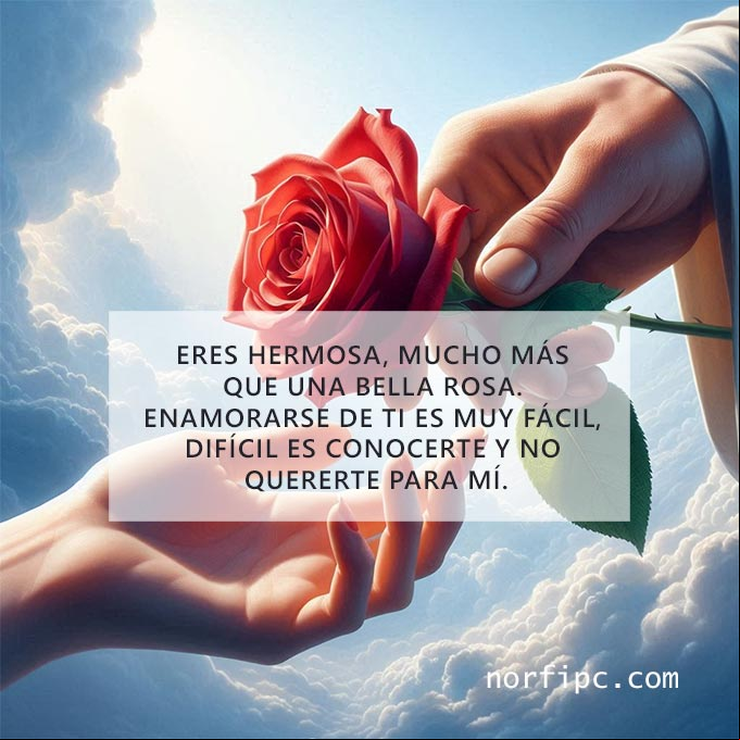 Eres hermosa, mucho más que una bella rosa. Enamorarse de ti es muy fácil, difícil es conocerte y no quererte para mí Hobre entregando una rosa a una mujer