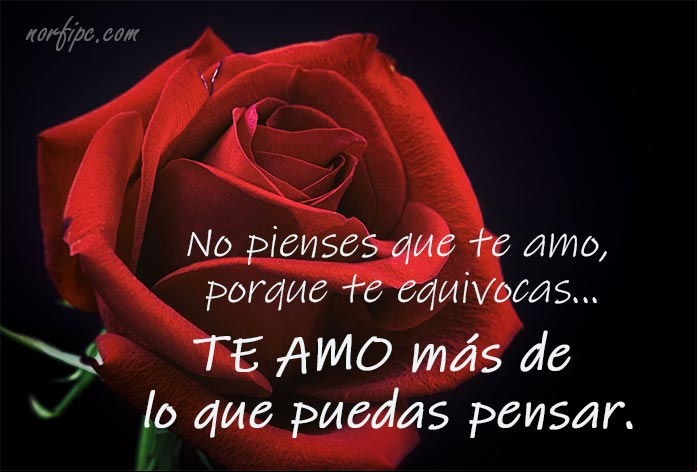 No pienses que te amo, porque te equivocas... te amo más de lo que puedas pensar. #FrasesAmor No pienses que te amo