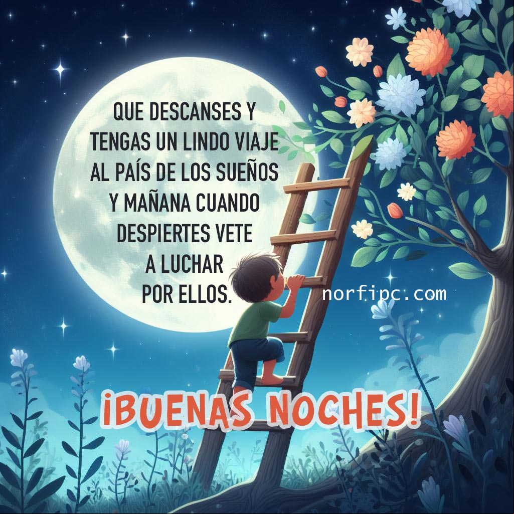 Que descanses y tengas un lindo viaje al país de los sueños, disfrútalo y mañana cuando despiertes, vete a luchar por ellos Fantasia chico subiendo escalera a la Luna