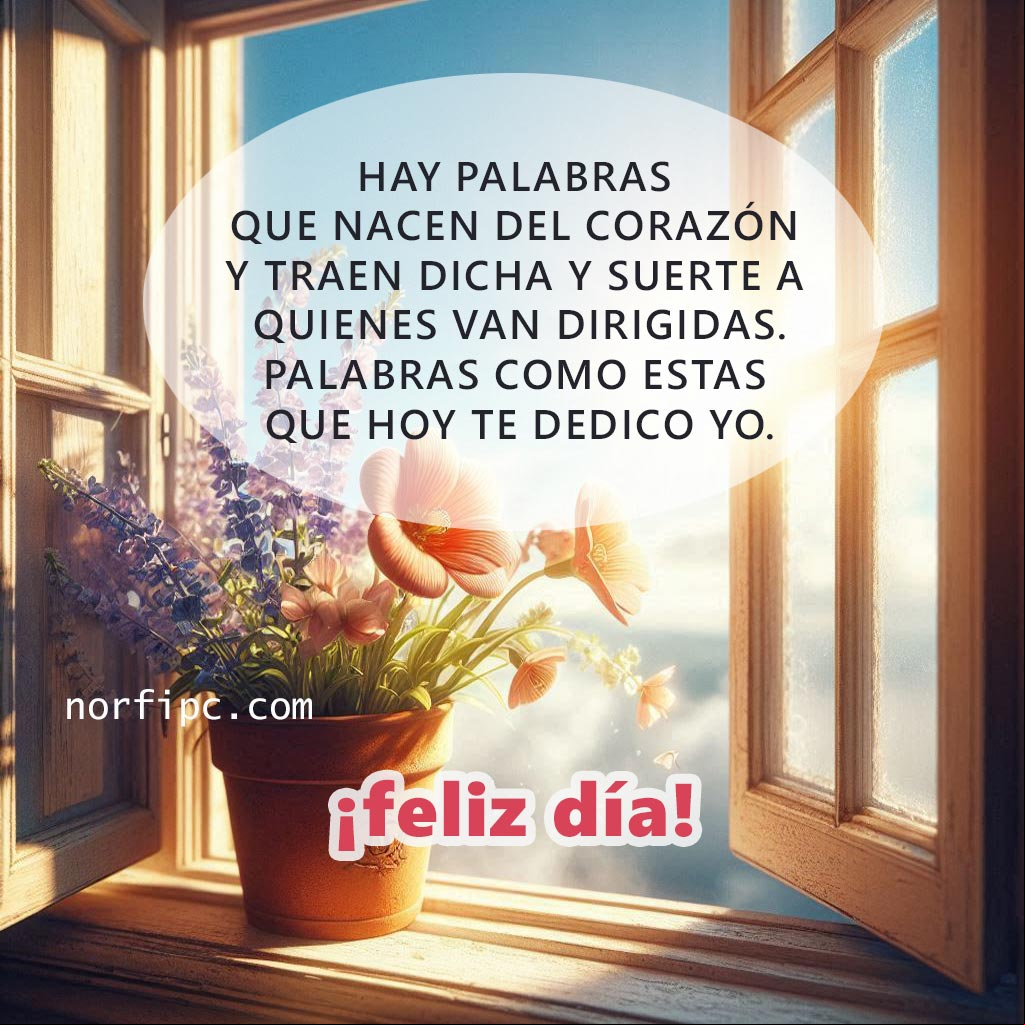 Hay palabras que nacen del corazón y traen dicha y suerte a quienes van dirigidas. Palabras como estas que hoy te dedico yo. ¡Feliz día! Ventana abierta con flores al amanecer
