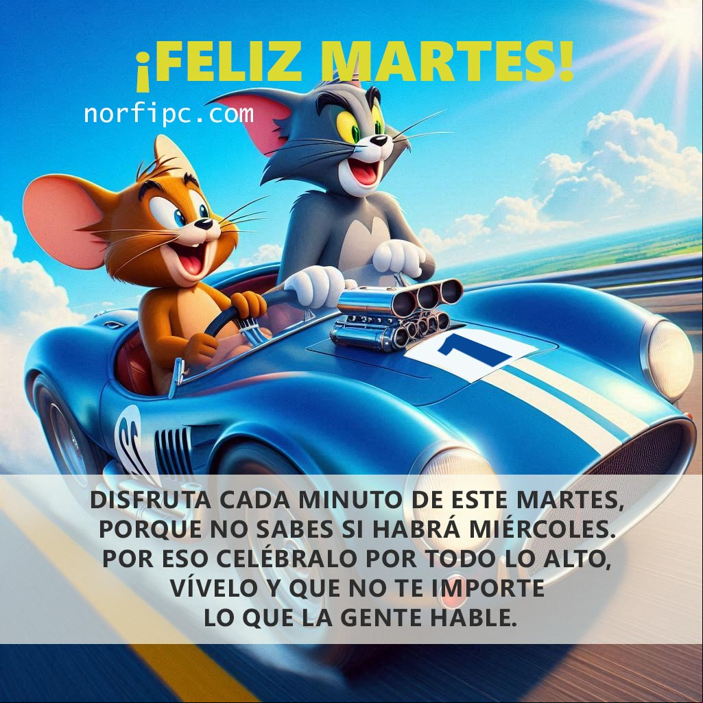 Es martes, hoy es un día maravilloso, no le hagas caso a los envidiosos, no te fijes en las nubes, hoy será para ti un feliz día Tom y Jerry en un auto de carrera a toda velocidad