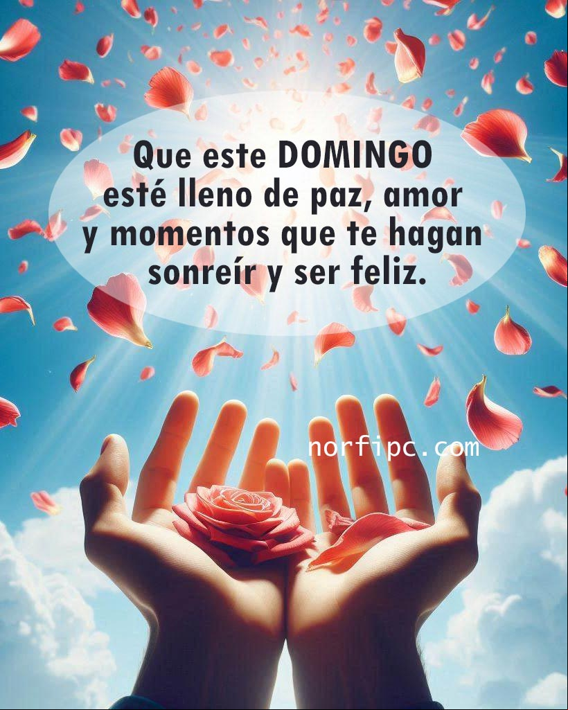¡Buenos días! Que este domingo esté lleno de paz, amor y momentos que te hagan sonreír y ser feliz Dos manos abiertas y en el aire cayendo pétalos de rosa