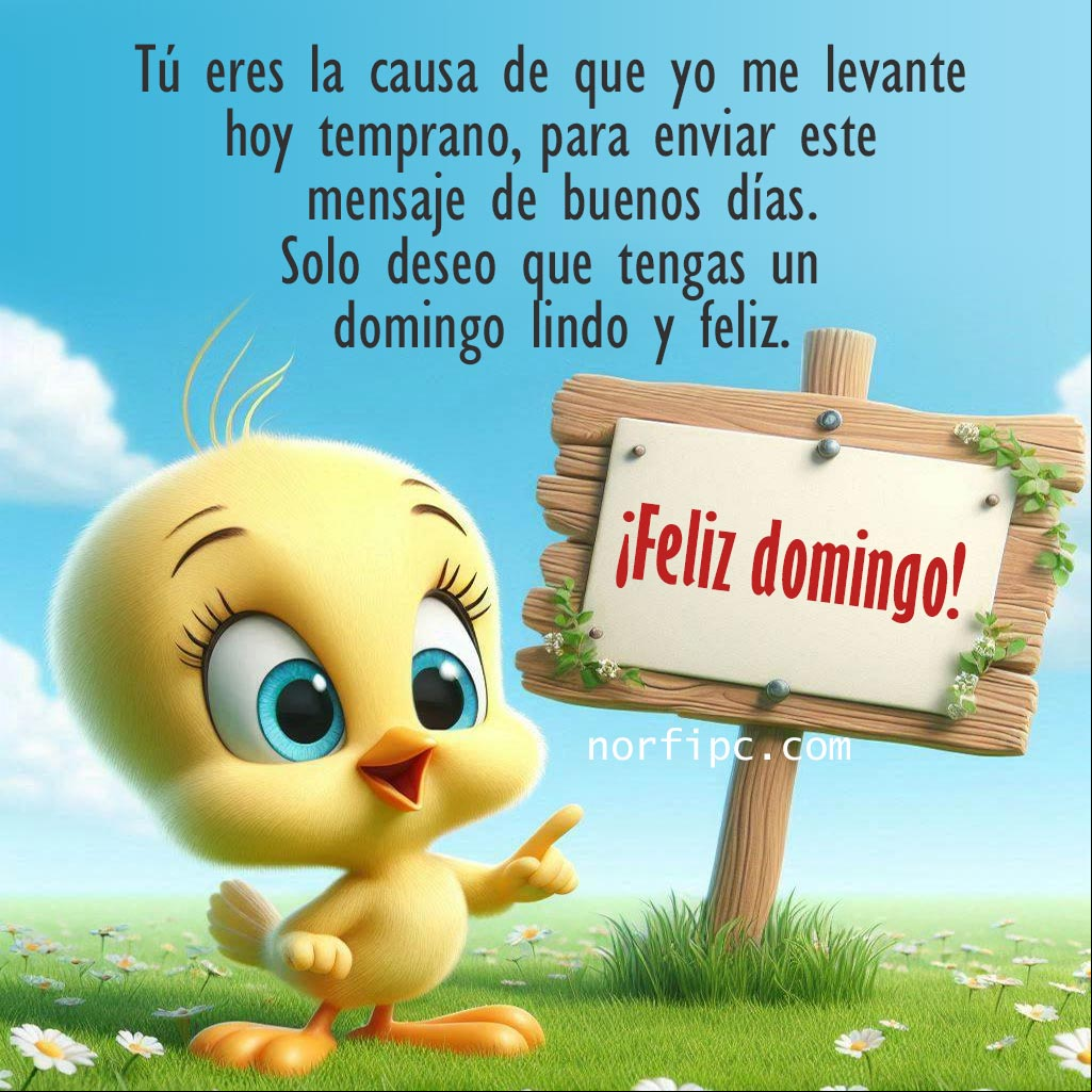Tú eres la causa de que yo me levante hoy temprano, para enviar este mensaje de feliz domingo Tweety con un cartel en blanco en la mano