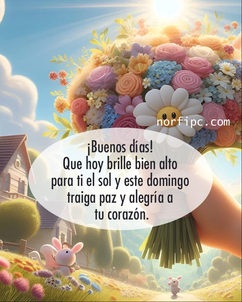 ¡Buenos días! Que hoy brille bien alto para ti el sol y este domingo traiga paz y alegría a tu corazón Ramo de flores
