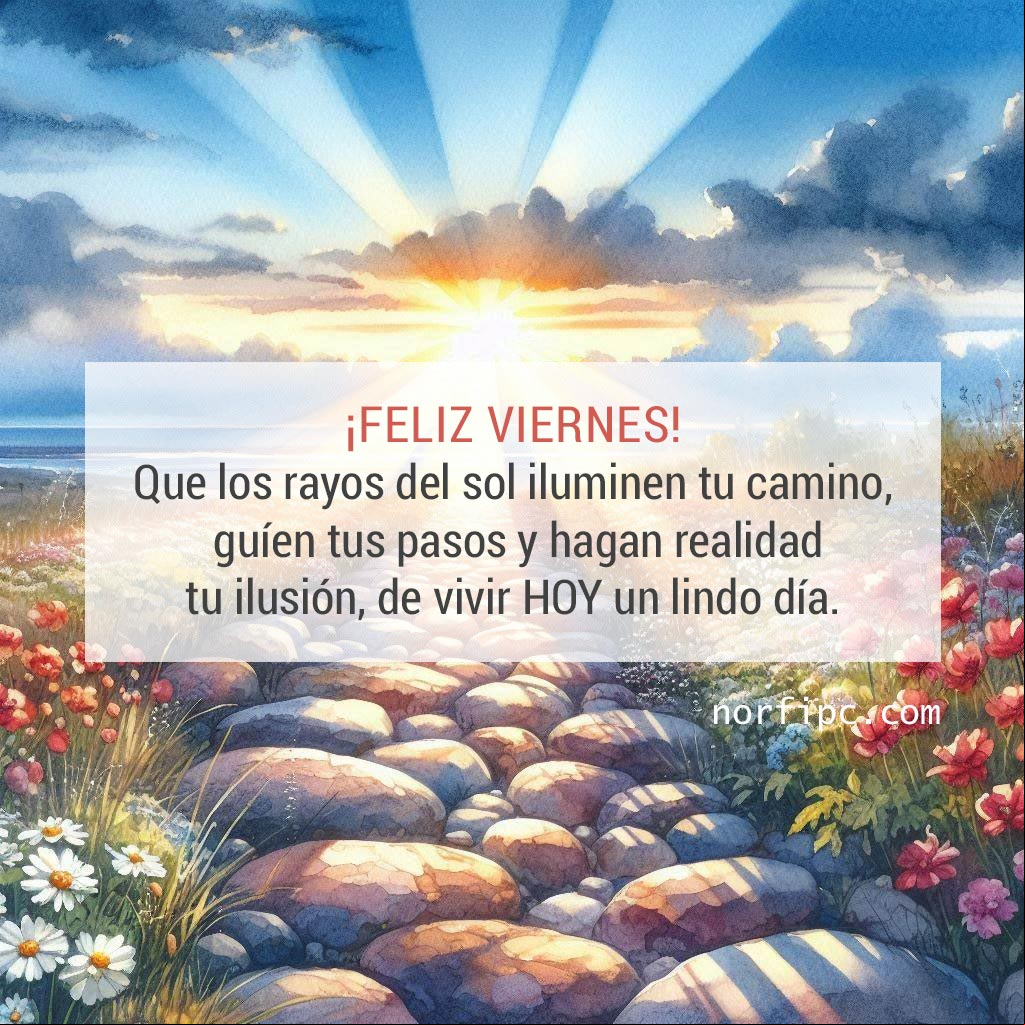 ¡Feliz viernes! Que los rayos del sol iluminen tu camino, guíen tus pasos y hagan realidad tu ilusión, de vivir HOY un lindo día Rayos de sol en el horizonte iluminan camino de piedras flores