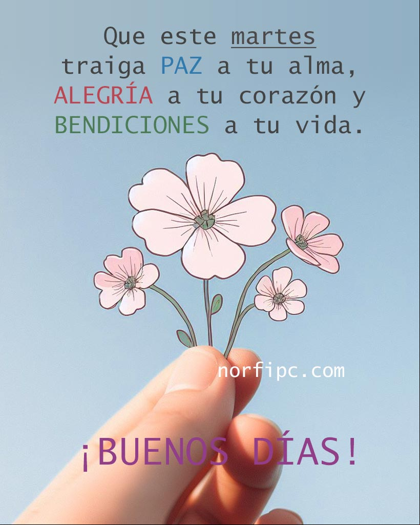 Que este martes traiga paz a tu alma, alegría a tu corazón y bendiciones a tu vida. ¡Buenos días! Mano sosteniendo pequeñas flores