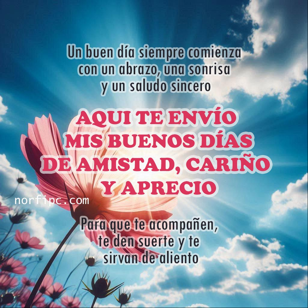 Te envío mis buenos días de cariño, amistad y aprecio. Para que te acompañen, te den suerte y te sirvan de aliento Rayos de sol detras de una flor