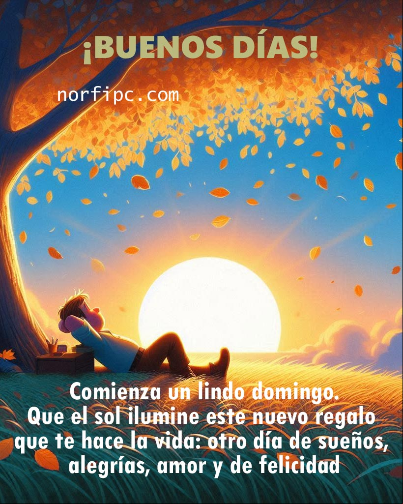 Comienza un lindo domingo. Que el sol ilumine este nuevo regalo que te hace la vida, otro día de sueños, alegrías, amor y de felicidad Persona acostada bajo un árbol al amanecer