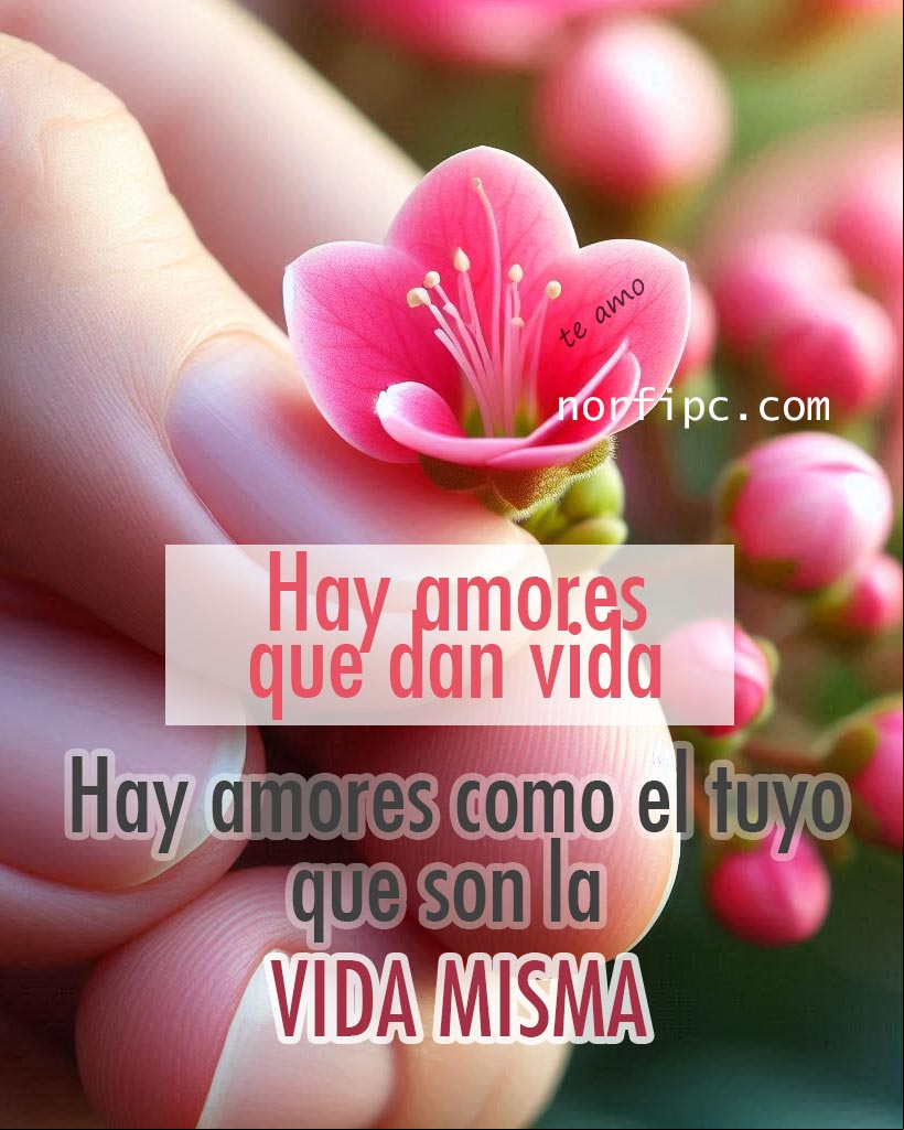 Hay amores que dan vida y hay amores como el tuyo, que son la vida misma... #ConfesionAmor Flor entre dos dedos