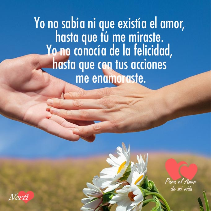 Yo no sabía ni que existía el amor, hasta que tú me miraste. Yo no conocía de la felicidad, hasta que con tus acciones me enamoraste Manos de un hombre y una mujer