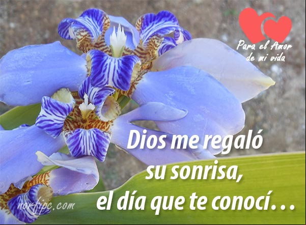 Dios me regaló su sonrisa, el día que te conocí... #ConfesionAmor Mensaje de amor para el amor de mi vida