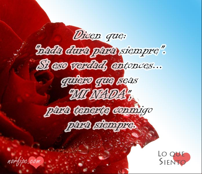 Tu eres mi todo