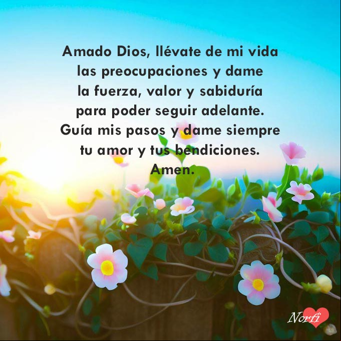 Amado Dios, llévate de mi vida las preocupaciones y dame la fuerza, valor y sabiduría para poder seguir adelante. Guía mis pasos y dame siempre tu amor y tus bendiciones. Amen Flores en un cercado, de fondo cielo azul