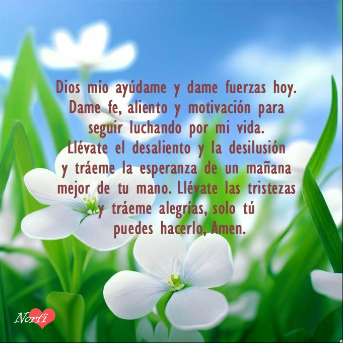 Dios mío ayúdame y dame fuerzas hoy. Dame fe, aliento y motivación para seguir luchando por mi vida. Llévate el desaliento y la desilusión y tráeme la esperanza de un mañana mejor de tu mano. Llévate las tristezas y tráeme alegrías, solo tú puedes hacerlo, Amen. Flores de vicaria blanca bajo el sol, con oración a Dios