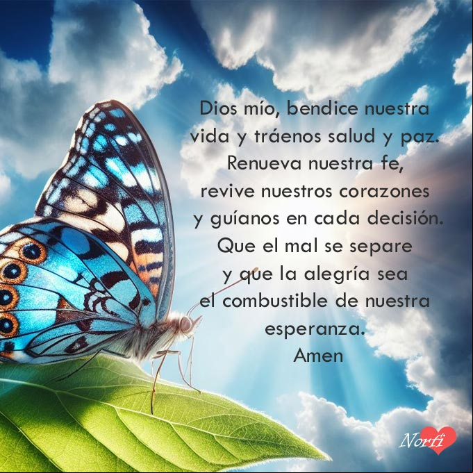 Dios mío, bendice nuestra vida y tráenos salud y paz. Renueva nuestra fe, revive nuestros corazones y guíanos en cada decisión. Que el mal se separe y que la alegría sea el combustible de nuestra esperanza. Amen Mariposa bajo el cielo azul y rayos del sol