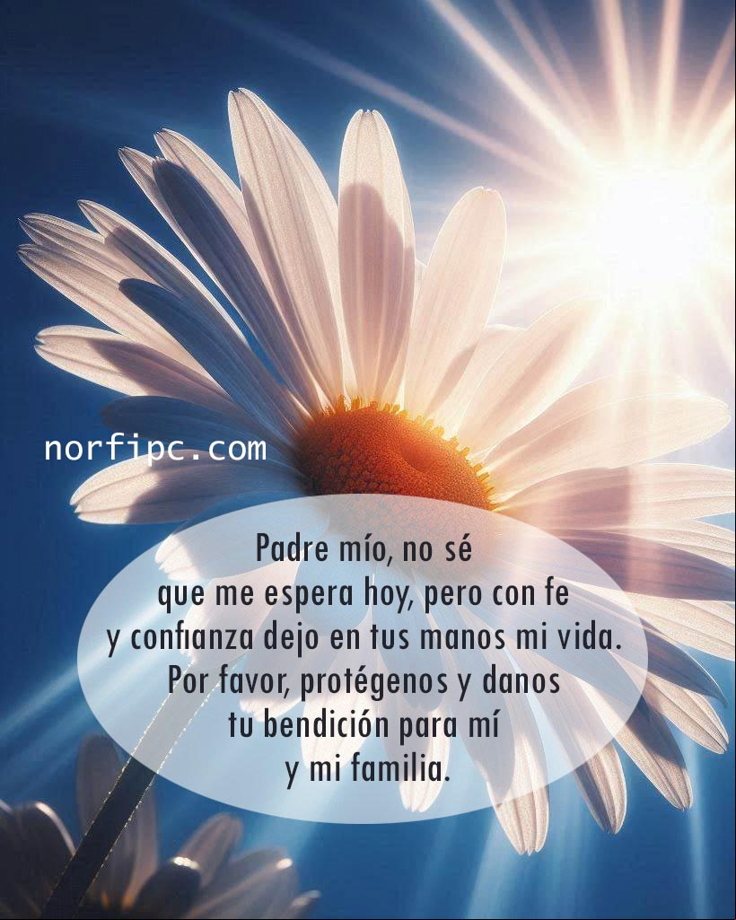 Padre mío, no sé lo que me espera hoy, pero con fe y confianza dejo en tus manos mi vida. Por favor, protégenos y danos tu bendición para mí y mi familia Rayo de sol iluminando una flor margarita al amanecer