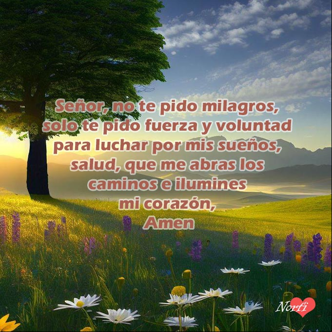 Señor, no te pido milagros, solo te pido fuerza y voluntad para seguir luchando por mis sueños y como lo hiciste ayer, me des salud, me abras los caminos e ilumines mi corazón, Amen Pradera con árbol y flores al amanecer y una oración a Dios