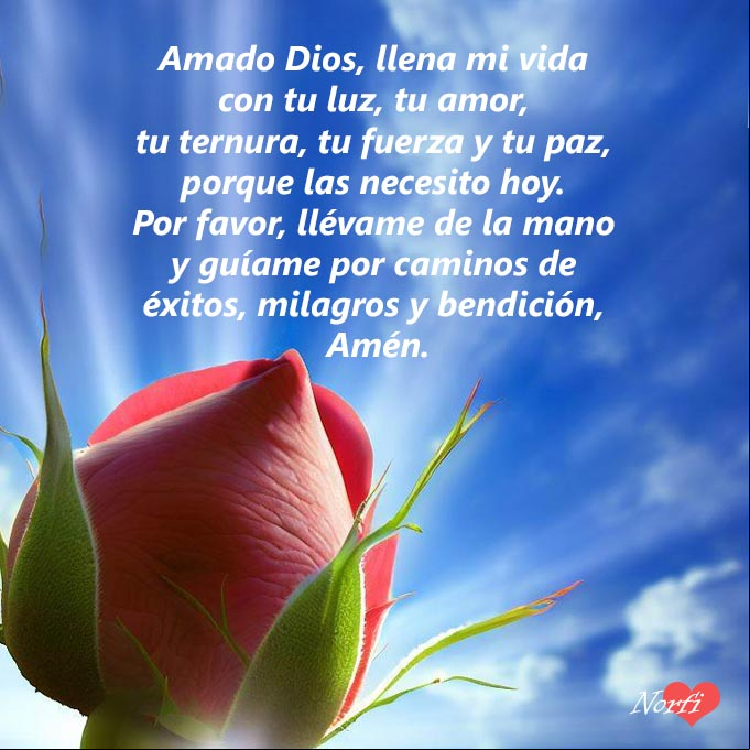Amado Dios, llena mi vida con tu luz, tu amor, tu ternura, tu fuerza y tu paz, porque las necesito hoy. Por favor llévame de la mano y guíame por caminos de éxitos, milagros y bendición, Amén Capullo de rosa bajo el cielo azul, con oración a Dios