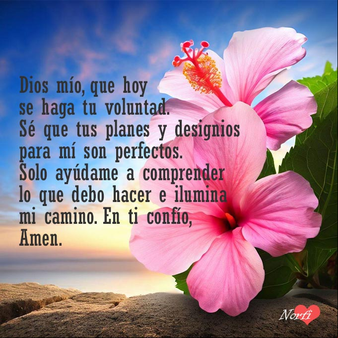 Dios mío, que hoy se haga tu voluntad. Sé que tus planes y designios para mí son perfectos. Solo ayúdame a comprender lo que debo hacer e ilumina mi camino. En ti confío, Amen Flores de Marpacifico al amanecer