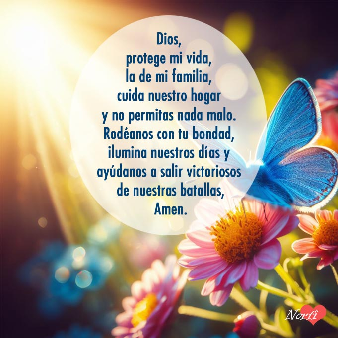 Dios, protege mi vida, la vida de mi familia, cuida nuestro hogar y no permitas que nada malo nos pase. Rodéanos con tu bondad, ilumina nuestros días y ayúdanos a salir victoriosos de nuestras batallas, Amen Mariposa sobre una flor al amanecer