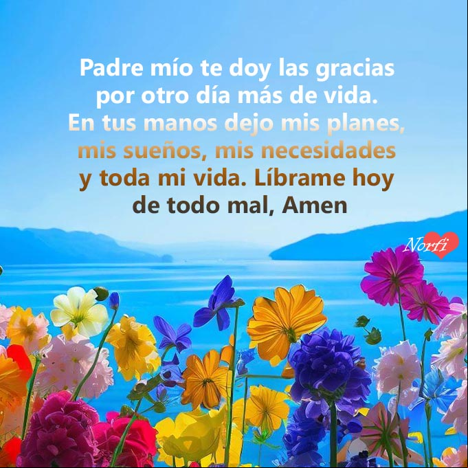 Padre mío te doy las gracias por otro día más de vida. En tus manos dejo mis planes, mis sueños, mis necesidades y toda mi vida. Líbrame hoy de todo mal, Amen Flores silvestres, el mar, el cielo azul con oracion a Dios