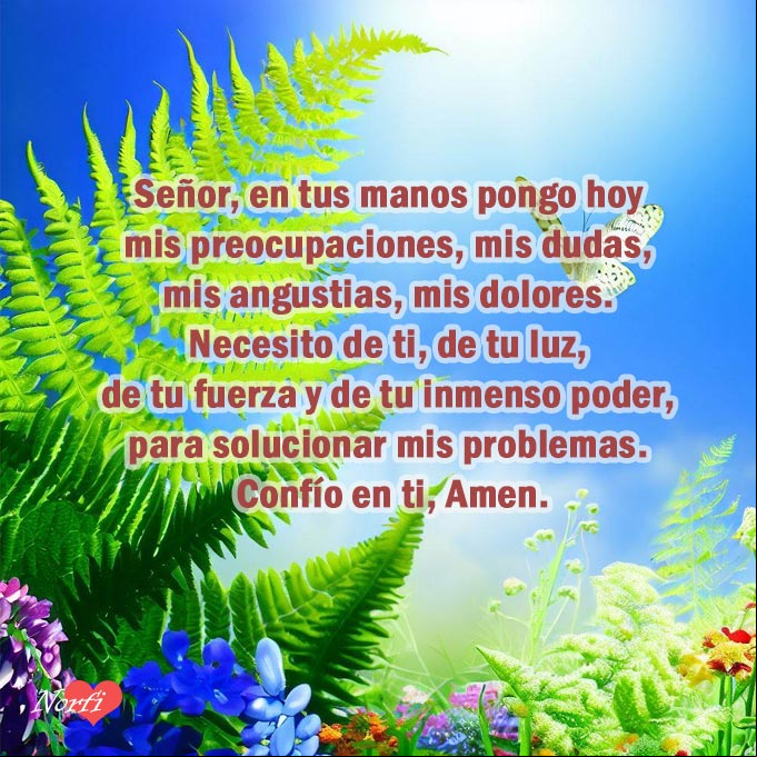 Señor, en tus manos pongo hoy mis preocupaciones, mis dudas, mis angustias, mis dolores. Necesito de ti, de tu luz, de tu fuerza y de tu inmenso poder, para solucionar mis problemas. Confío en ti, Amen Helechos, flores silvestres con mariposas y oración a Dios