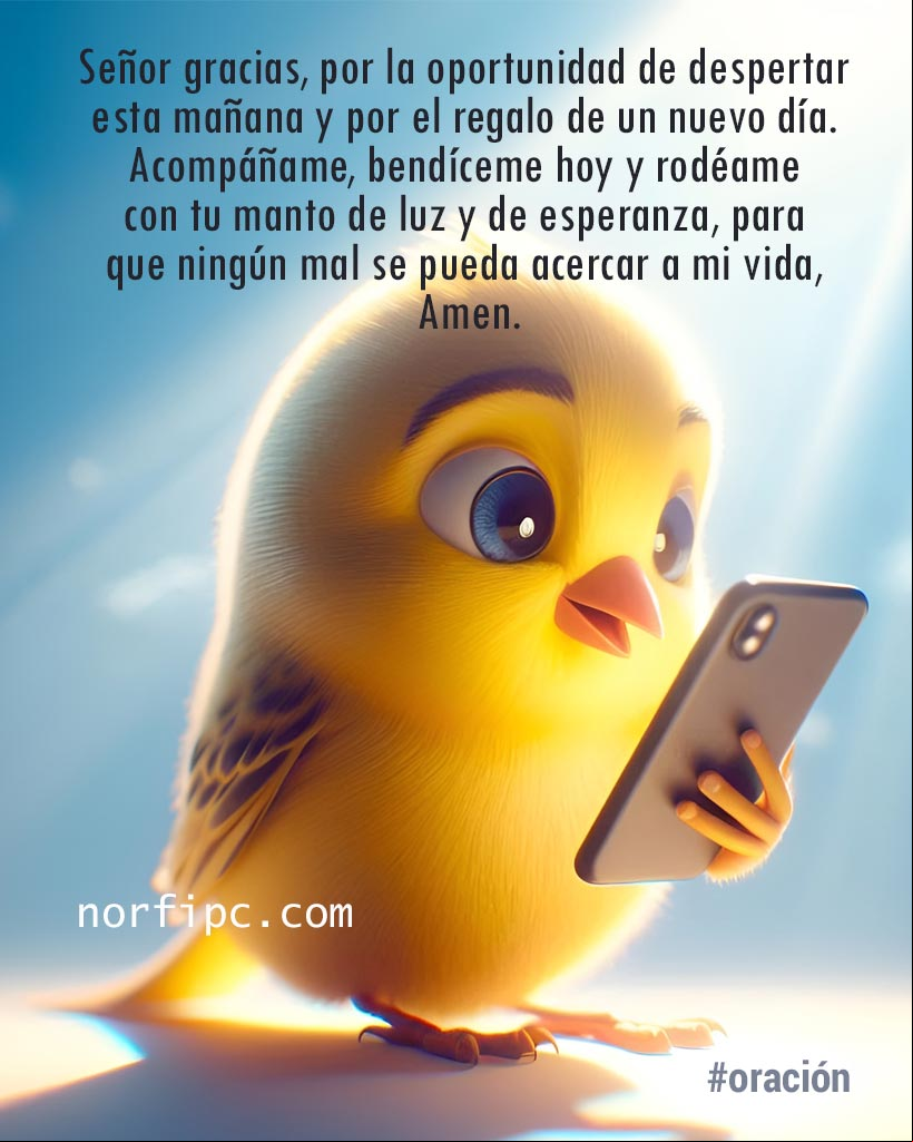 Señor, gracias por la oportunidad de despertar esta mañana y por el regalo de un nuevo día. Acompáñame, bendíceme hoy y rodéame con tu manto de luz y de esperanza, para que ningún mal se pueda acercar a mi vida, Amen. #oraciones Pajarito leyendo un celular