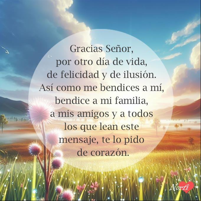 Gracias Señor, por otro día de vida, de felicidad y de ilusión. Así como me bendices a mí, bendice a mi familia, a mis amigos y a todos los que lean este mensaje, te lo pido de corazón Florecita silvestre meciendose en la brisa del amanecer, fondo prado verde y cielo azul