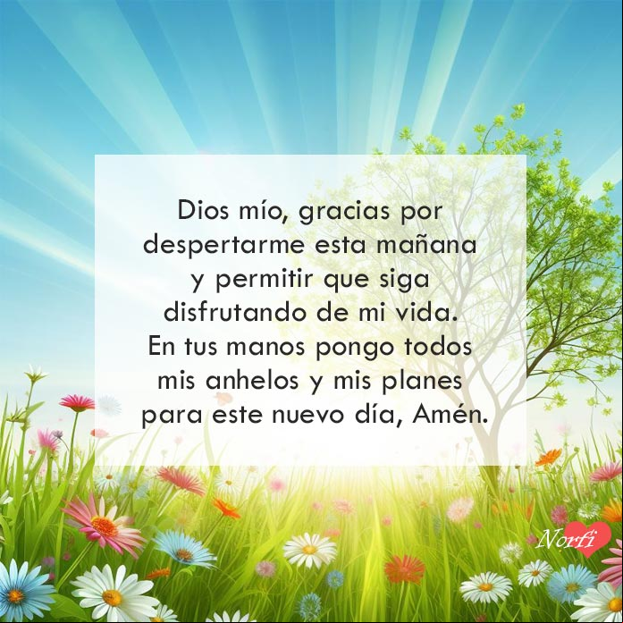 Dios mío, gracias por despertarme esta mañana y permitir que siga disfrutando de mi vida. En tus manos pongo todos mis anhelos y mis planes para este nuevo día, Amén Prado con flores silvestres al amanecer
