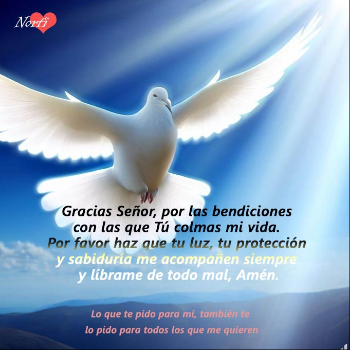 Gracias Señor, por las bendiciones con las que Tú colmas mi vida. Por favor haz que tu luz, tu protección y sabiduría me acompañen a cada instante y líbrame siempre de todo mal, Amén Paloma blanca volando bajo los rayos al sol con mensaje de petición a Dios