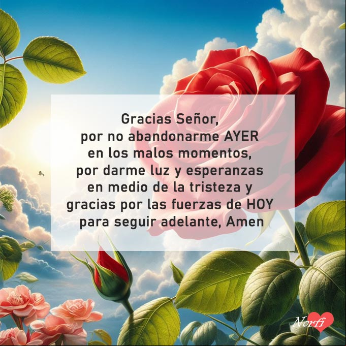 Gracias Señor, por no abandonarme ayer en los malos momentos, por darme luz y esperanzas en medio de la tristeza y gracias por las fuerzas de hoy para seguir adelante, Amen Rosa roja y hojas verdes, fondo cielo azul nubes blancas