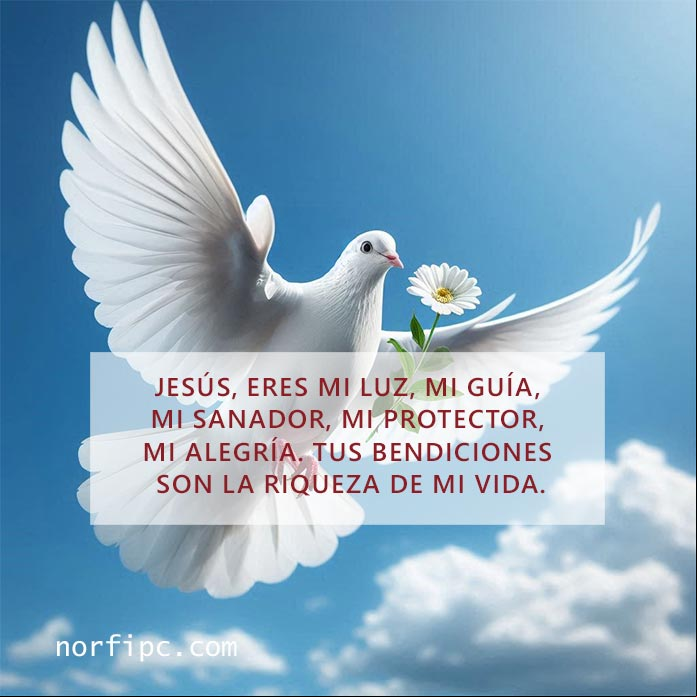 Jesús, eres mi luz, mi guía, mi sanador, mi protector, mi alegría. Tus bendiciones son la riqueza de mi vida, Amen Paloma blanca volando bajo el cielo azul